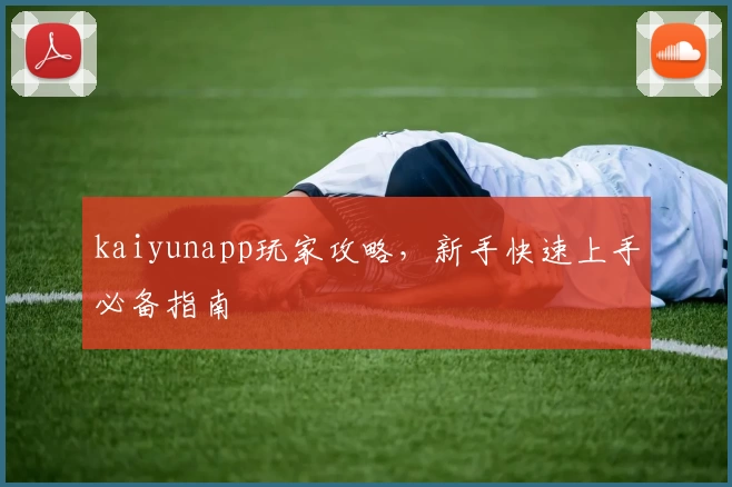 kaiyunapp玩家攻略，新手快速上手必备指南