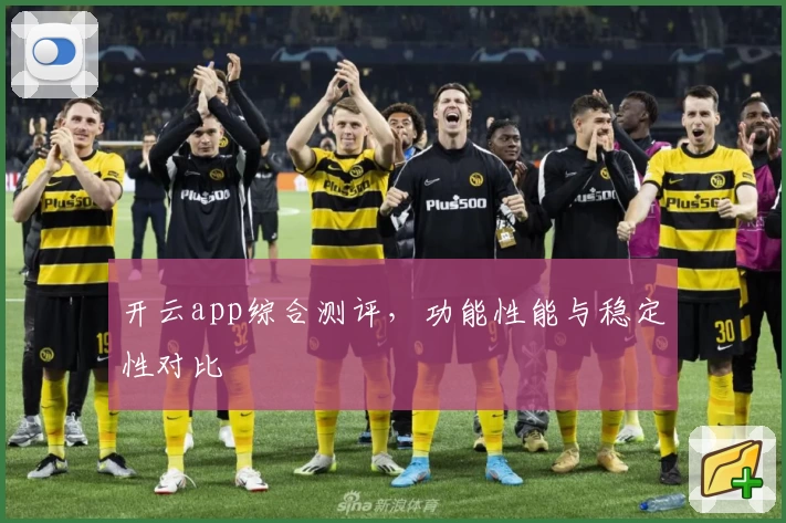 开云app综合测评，功能性能与稳定性对比
