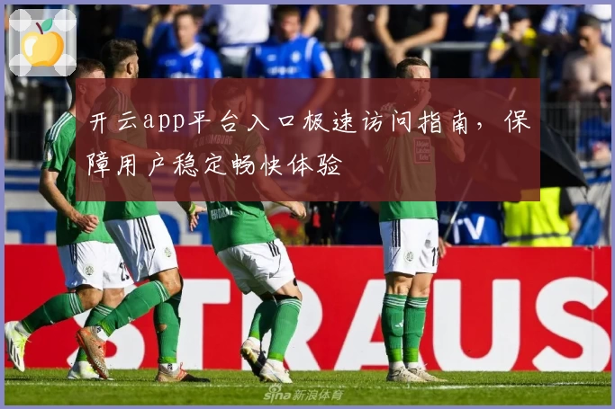 开云app平台入口极速访问指南，保障用户稳定畅快体验